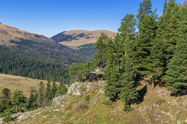 Similar image 21149571