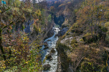 Similar image 21150092