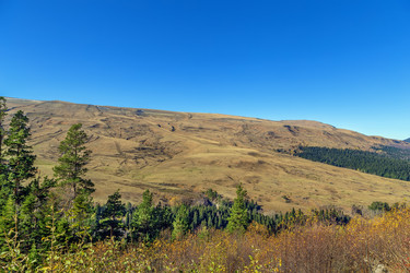 Similar image 21150099