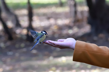 Similar image 21133470