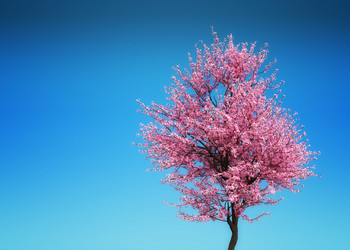 Similar image 21154557