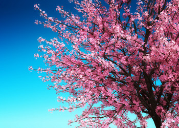 Similar image 21154558