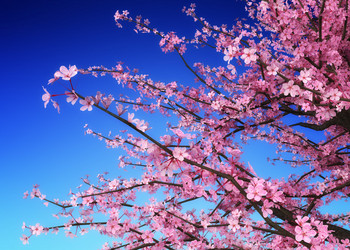 Similar image 21154559