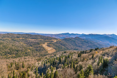 Similar image 21150109