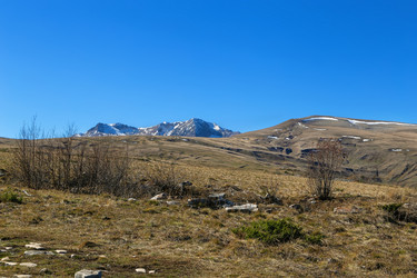 Similar image 21150115