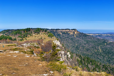 Similar image 21150119