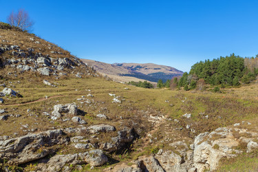 Similar image 21150121