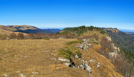 Similar image 21150123