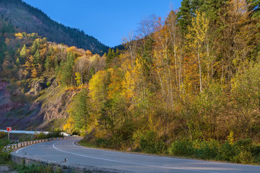 Similar image 21150647