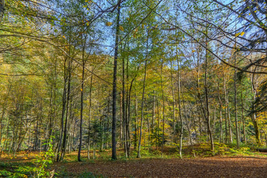 Similar image 21150651