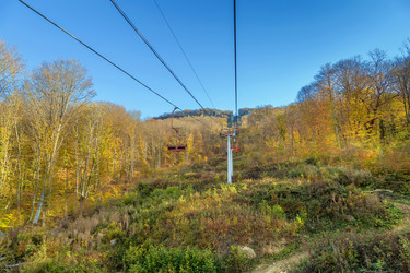 Similar image 21150652