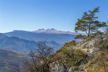 Similar image 21150659