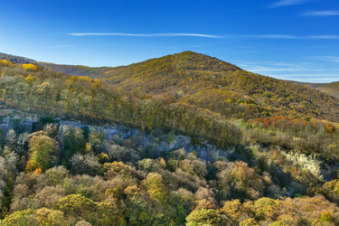 Similar image 21150662