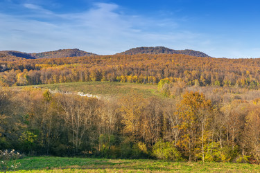 Similar image 21150672