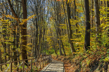 Similar image 21150674