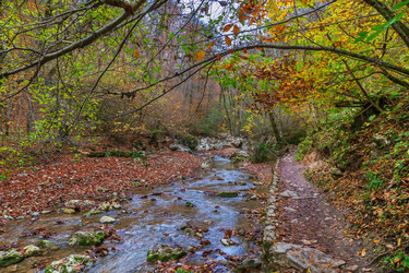 Similar image 21150679