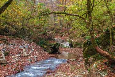 Similar image 21150682