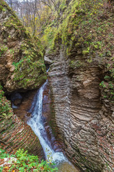 Similar image 21150686