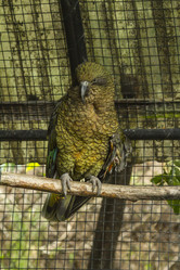 Similar image 21133756