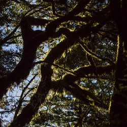 Similar image 21133757