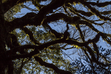 Similar image 21133758