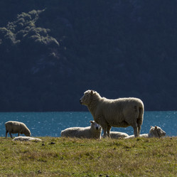 Similar image 21135856