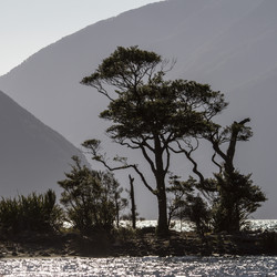 Similar image 21135858