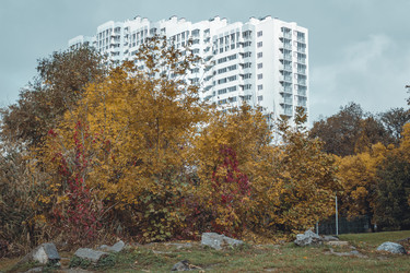 Similar image 21134509