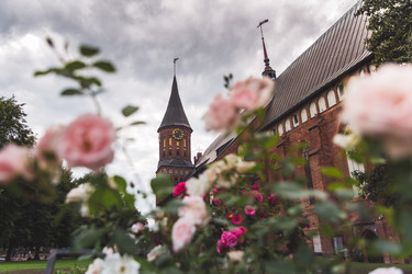 Similar image 21156923