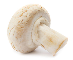 Similar image 21137187