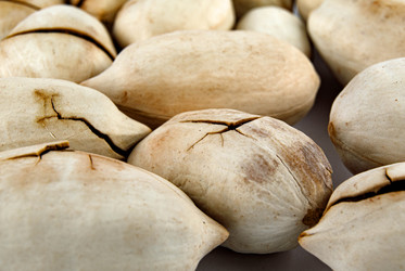 Similar image 21137638