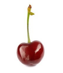 Similar image 21135966