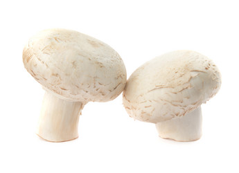 Similar image 21135972