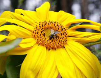 Similar image 21134525