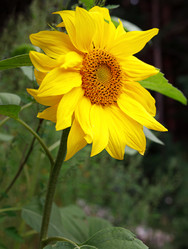 Similar image 21137203