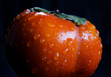 Similar image 21137641