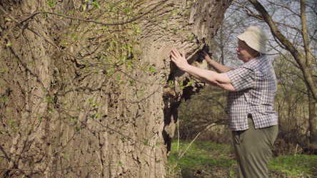 Similar image 21133759