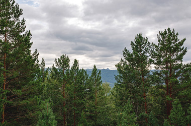 Similar image 21133760