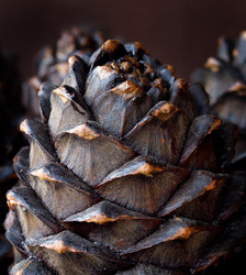 Similar image 21133764