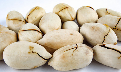 Similar image 21134539