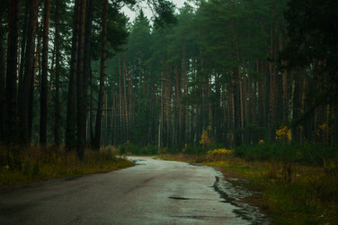 Similar image 21133482