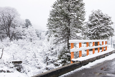 Similar image 21133789