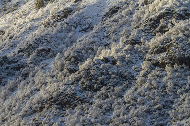 Similar image 21133794