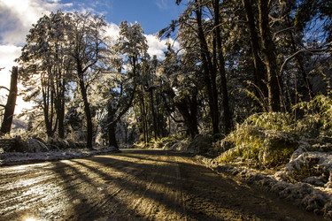 Similar image 21133796