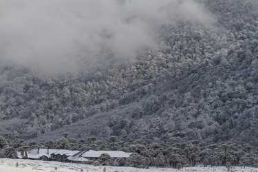 Similar image 21133797