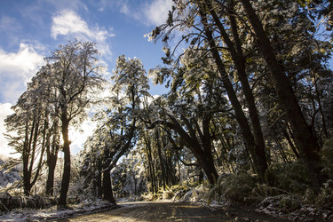 Similar image 21133798