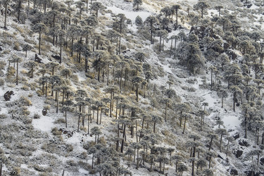 Similar image 21133799