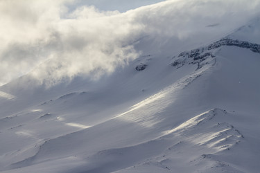 Similar image 21133801