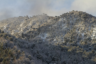 Similar image 21133807