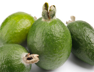 Similar image 21134546